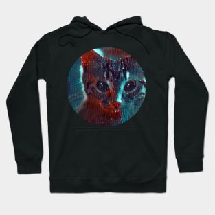 Beloved mycat, revolution for cats Hoodie